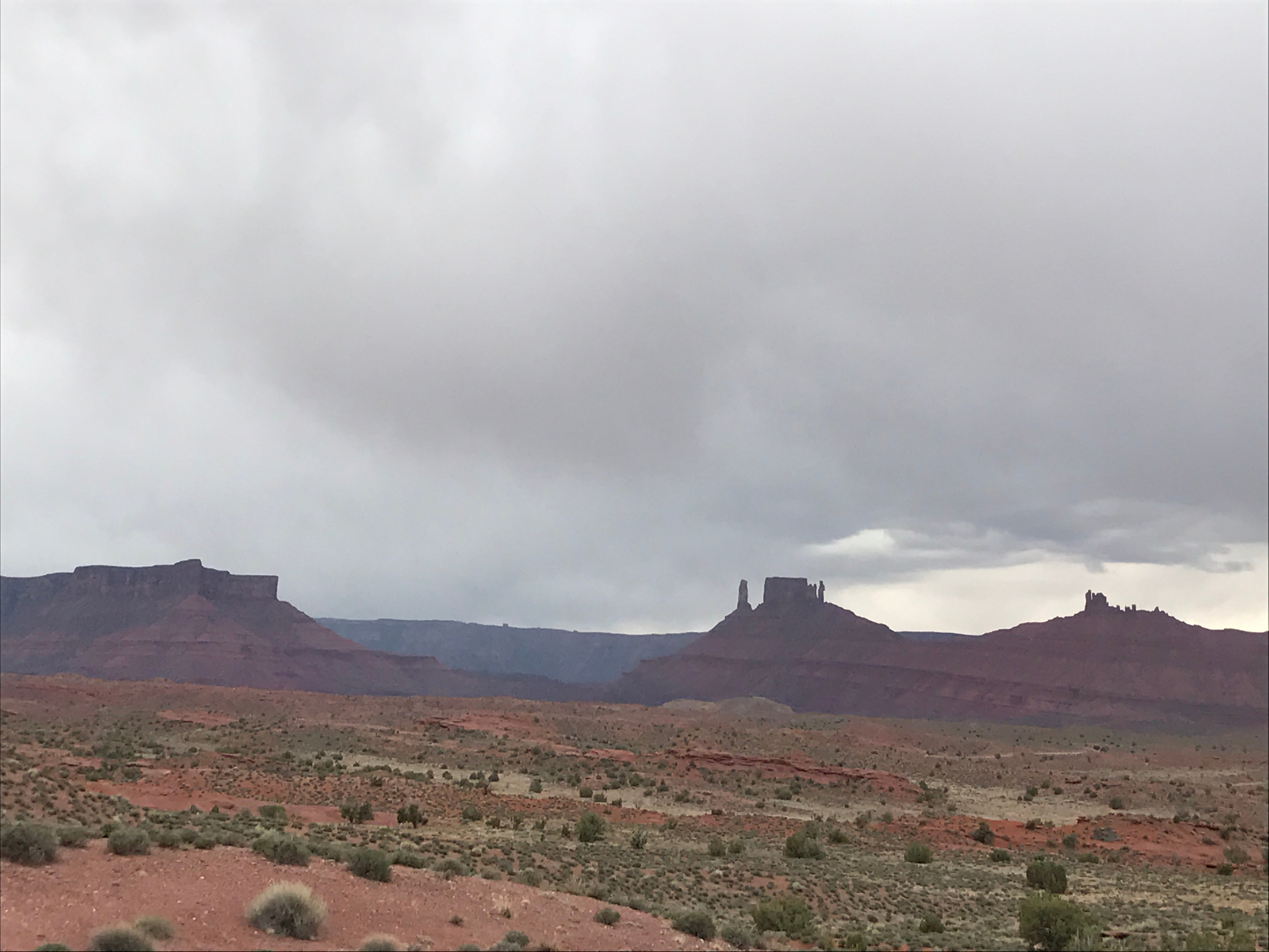 Camper submitted image from MOAB KOA - 2