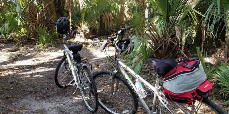 Camper submitted image from Blue Spring State Park Campground