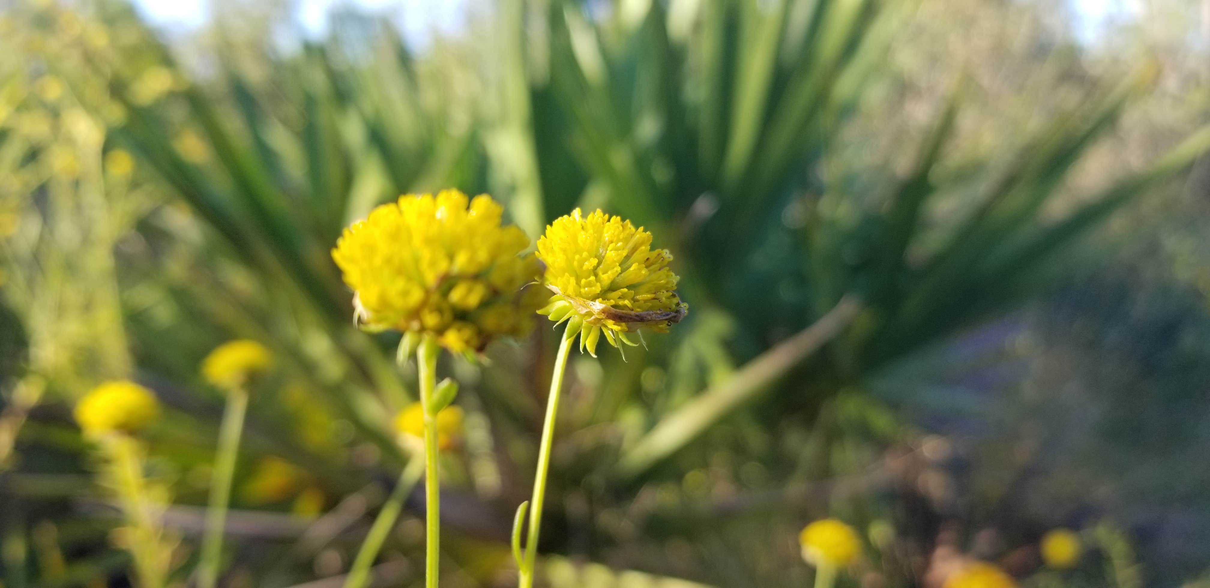 Camper-submitted photo at Wekiwa Springs State Park Campground near Bunnell, FL