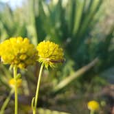 Review photo of Wekiwa Springs State Park Campground by Timothy B., October 28, 2020