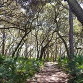 Review photo of Wekiwa Springs State Park Campground by Timothy B., October 28, 2020