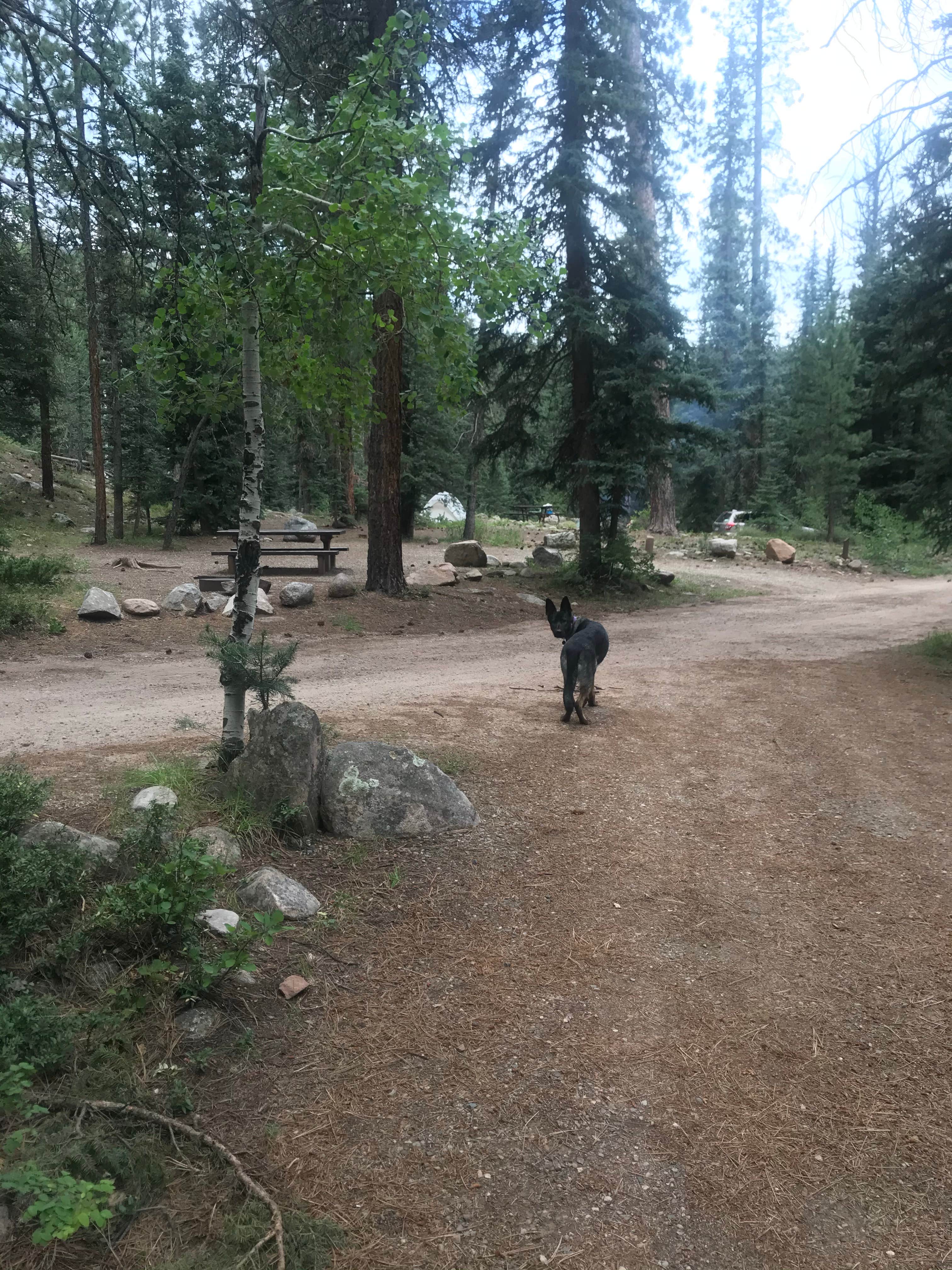 Transfer Park Campground — San Juan National Forest