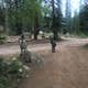 Transfer Park Campground — San Juan National Forest