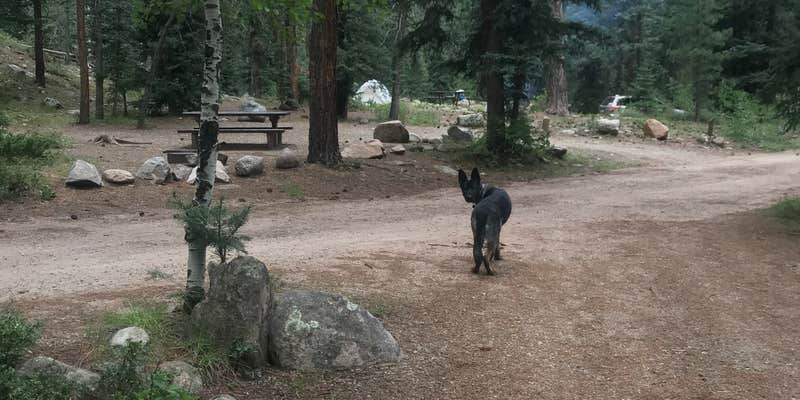 Camper submitted image from Transfer Park Campground — San Juan National Forest