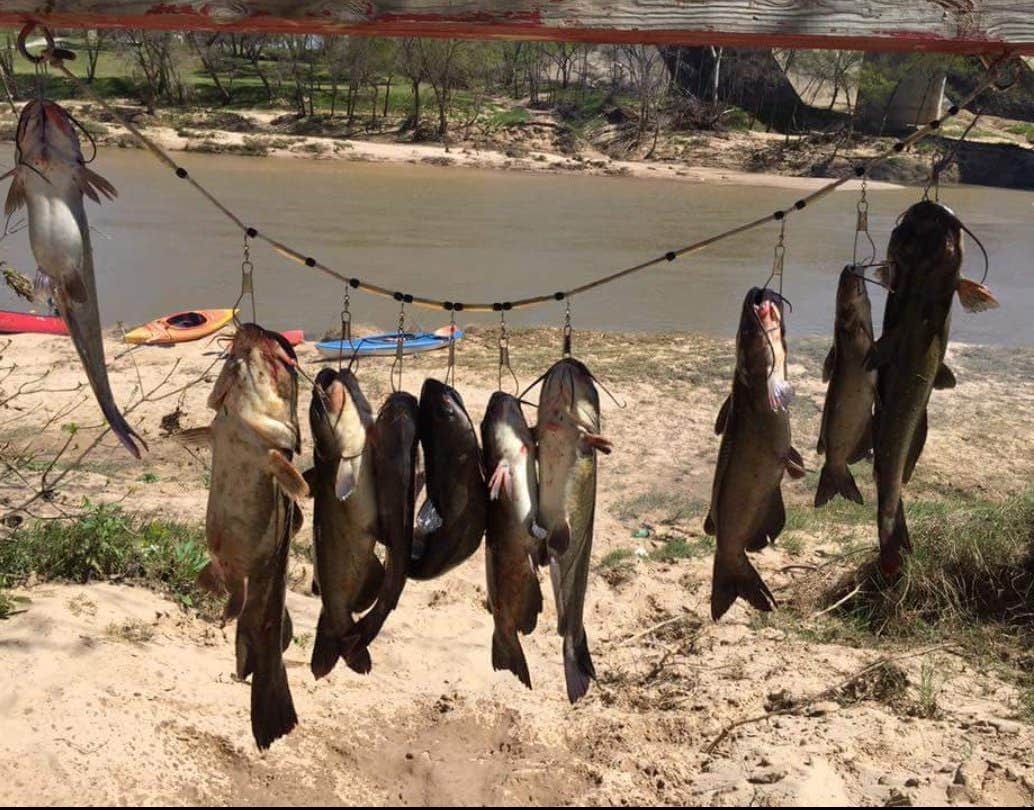 susie W.'s photo of camping with a horse at Hillbilly Haven Recreational Vehicle Park near Granbury, TX