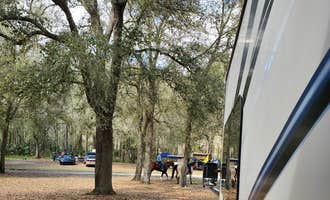 Camping near Colt Creek State Park Campground: Green Swamp — Hampton Tract, Polk City, Florida