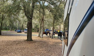 Camping near Green Swamp — West Tract: Green Swamp — Hampton Tract, Polk City, Florida