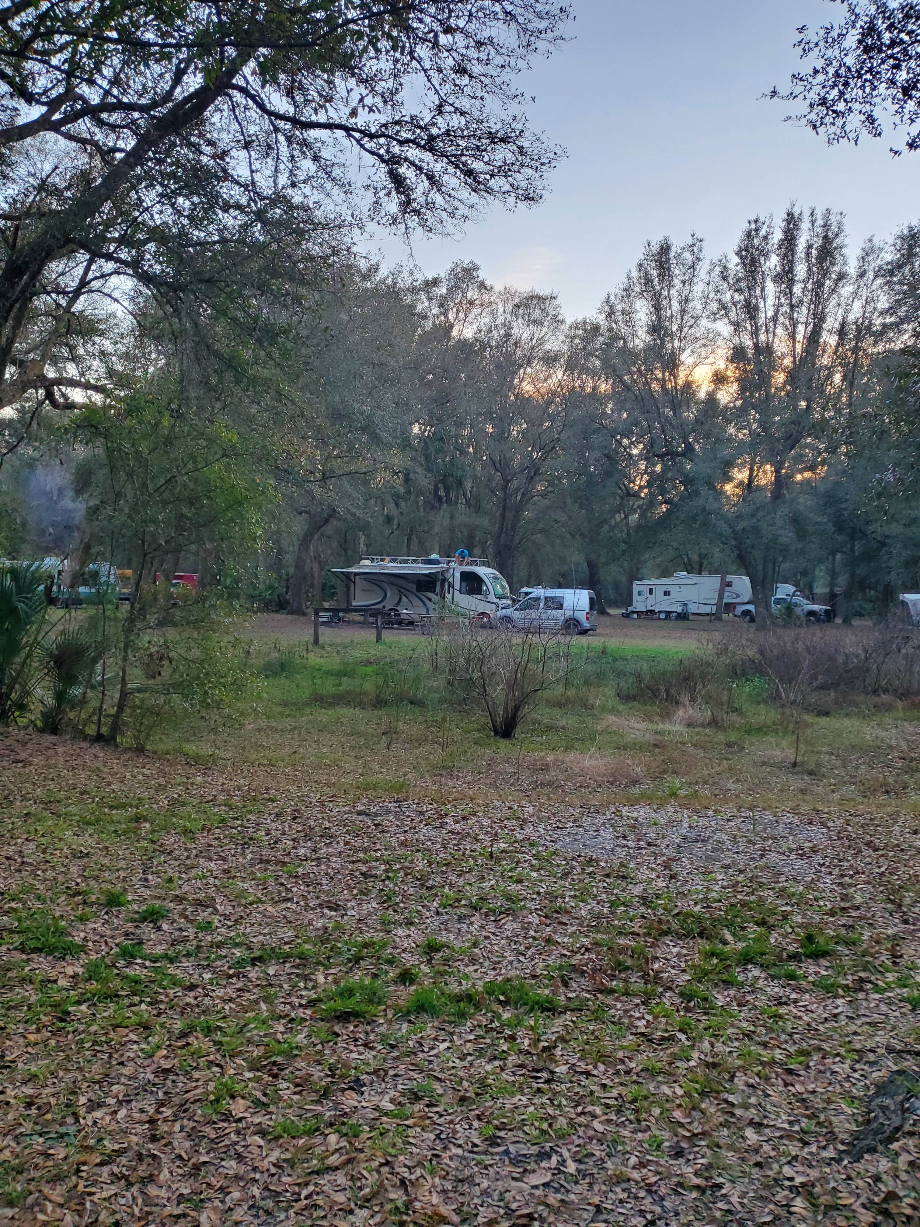 View All