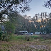 Review photo of Green Swamp — Hampton Tract by Steve D., March 2, 2021