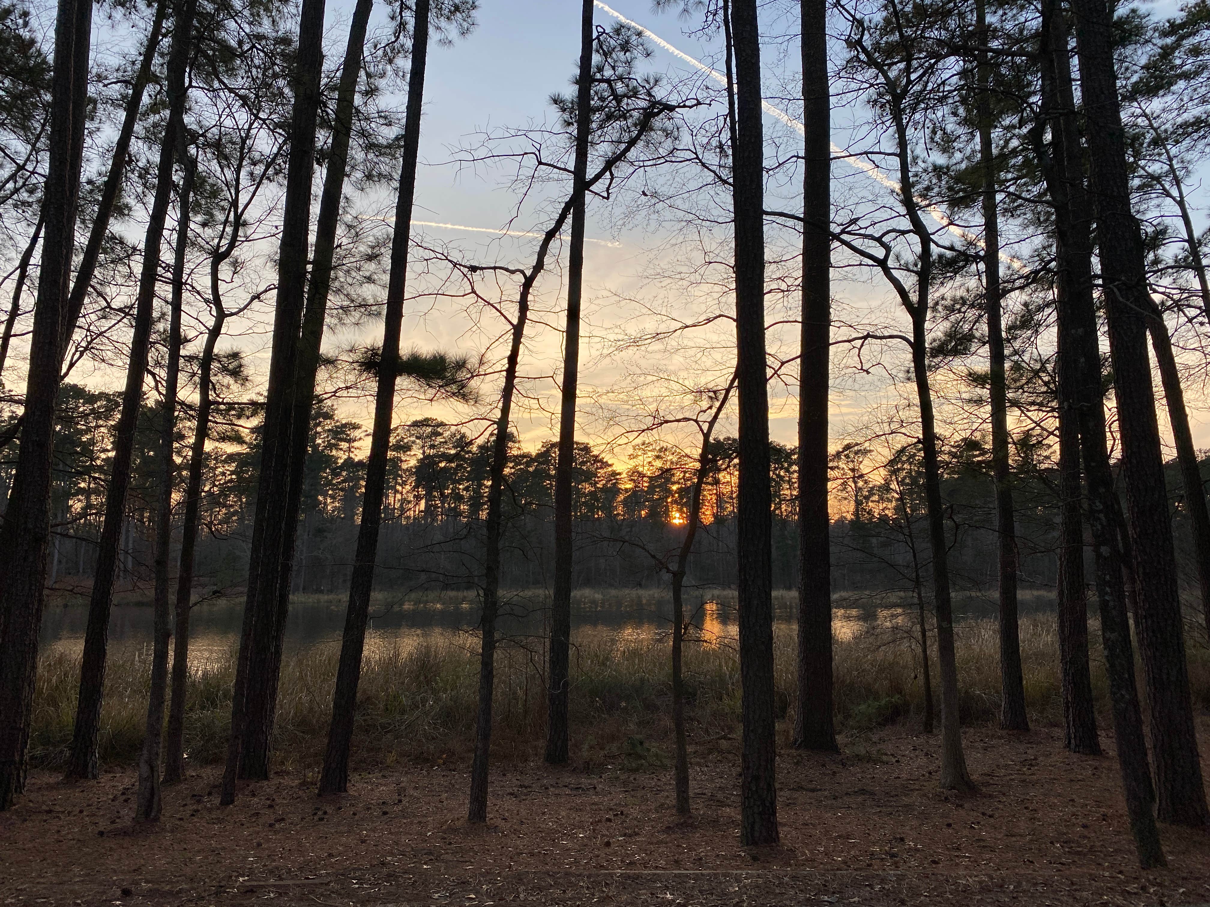 Camper-submitted photo at Ratcliff Lake Recreation Area near Crockett, TX