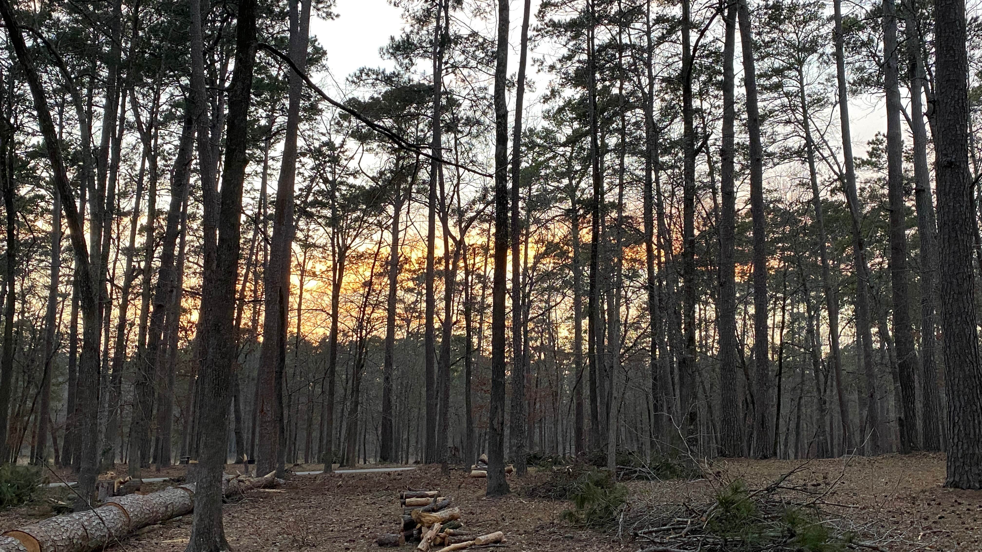 Ratcliff Lake Recreation Area The Dyrt