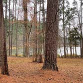 Review photo of Ratcliff Lake Recreation Area by Tony E., March 2, 2021