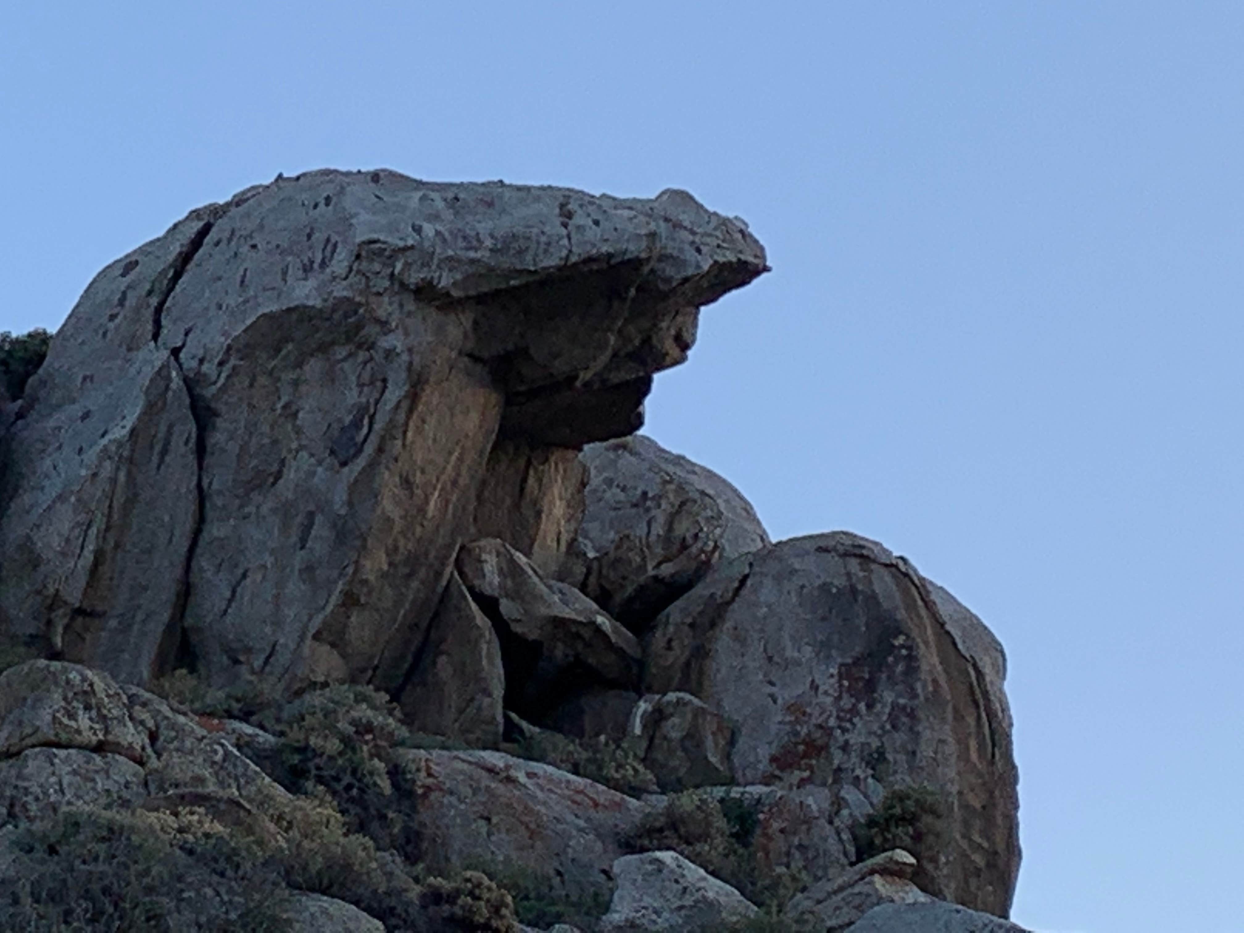 Camper submitted image from Hanning Flat Dispersed Area - 5