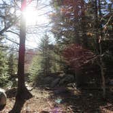 Review photo of Hickory Ridge Campground — Grayson Highlands State Park by Jolie L., March 2, 2021