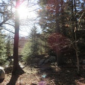 Review photo of Grayson Highlands State Park Campground by Jolie L., March 2, 2021
