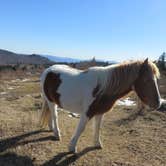 Review photo of Hickory Ridge Campground — Grayson Highlands State Park by Jolie L., March 2, 2021