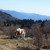 Review photo of Hickory Ridge Campground — Grayson Highlands State Park by Jolie L., March 2, 2021