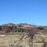 Review photo of Hickory Ridge Campground — Grayson Highlands State Park by Jolie L., March 2, 2021