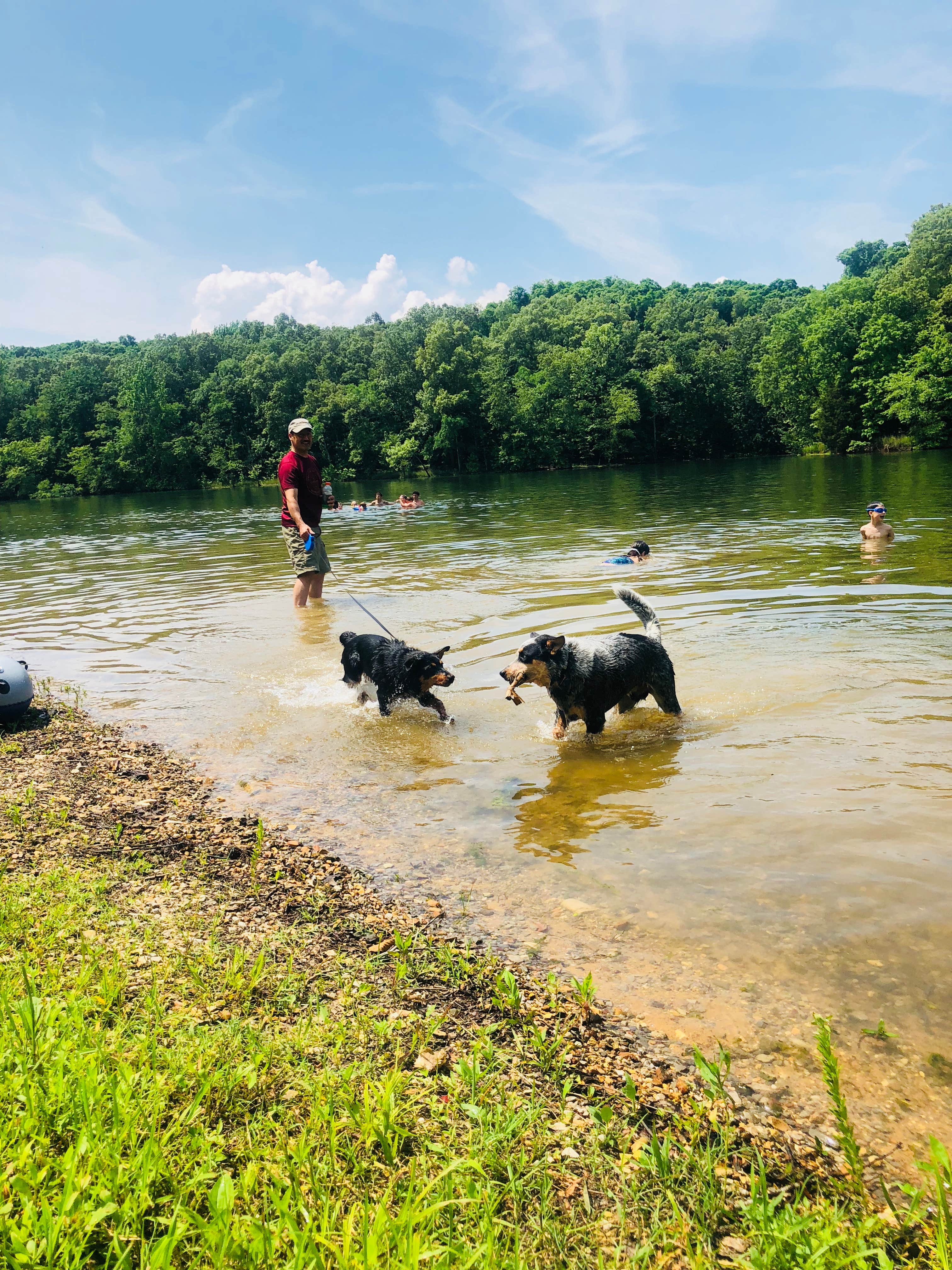 Shelly S.'s photo of camping with pets at Redd Hollow near Land Between the Lakes National Recreation Area