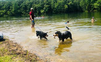 Shelly S.'s photo of camping with pets at Redd Hollow in Kentucky