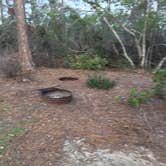 Review photo of Big Lagoon State Park Campground by Denise , March 2, 2021