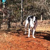 Review photo of Devil's Den State Park Campground by Jeff N., March 2, 2021