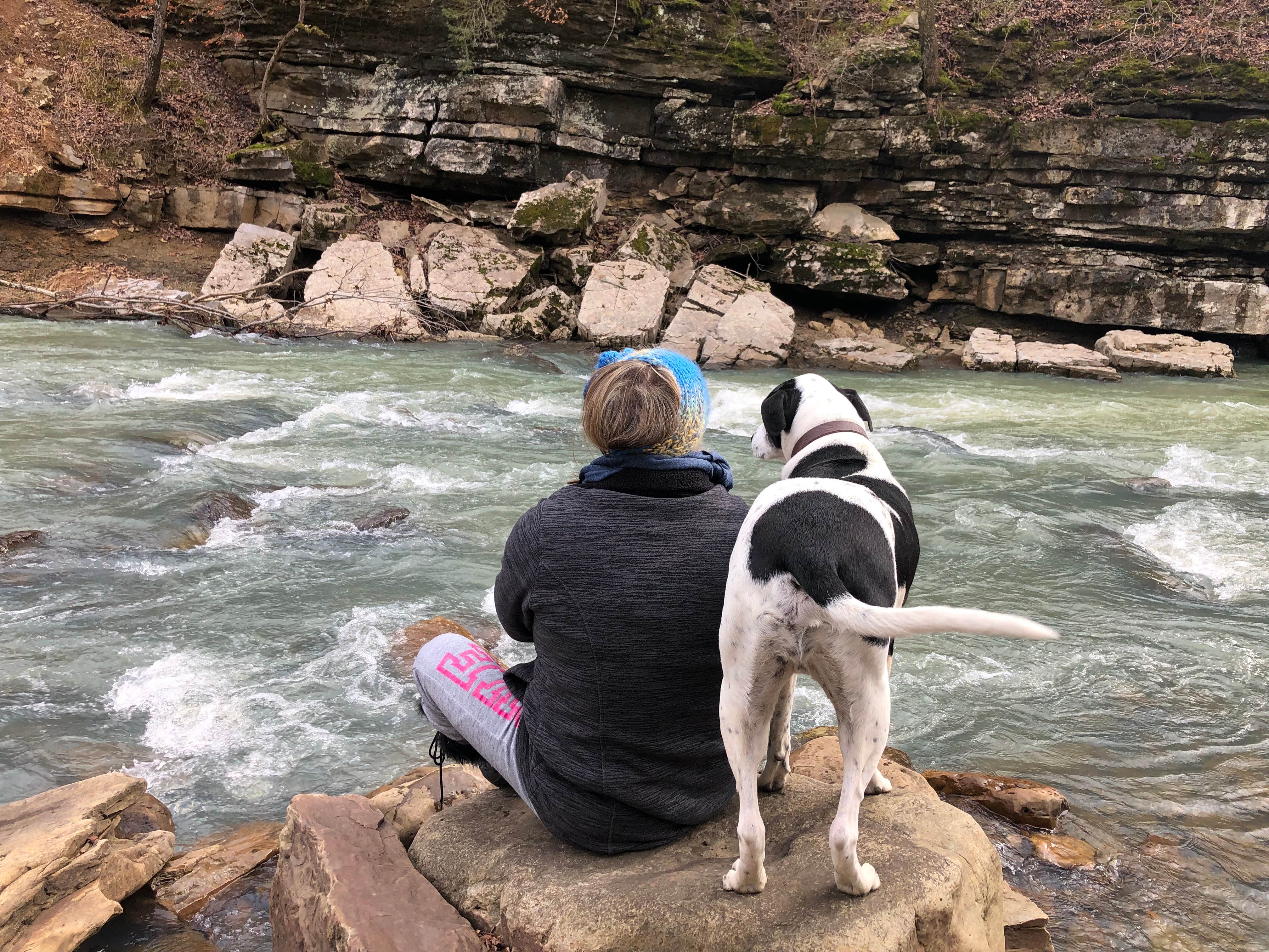 Jeff N.'s photo of camping with pets at Devil's Den State Park Campground in Arkansas