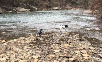 Jeff N.'s photo of camping with pets at Devil's Den State Park Campground near John Paul Hammerschmidt Lake
