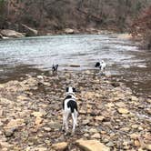 Review photo of Devil's Den State Park Campground by Jeff N., March 2, 2021