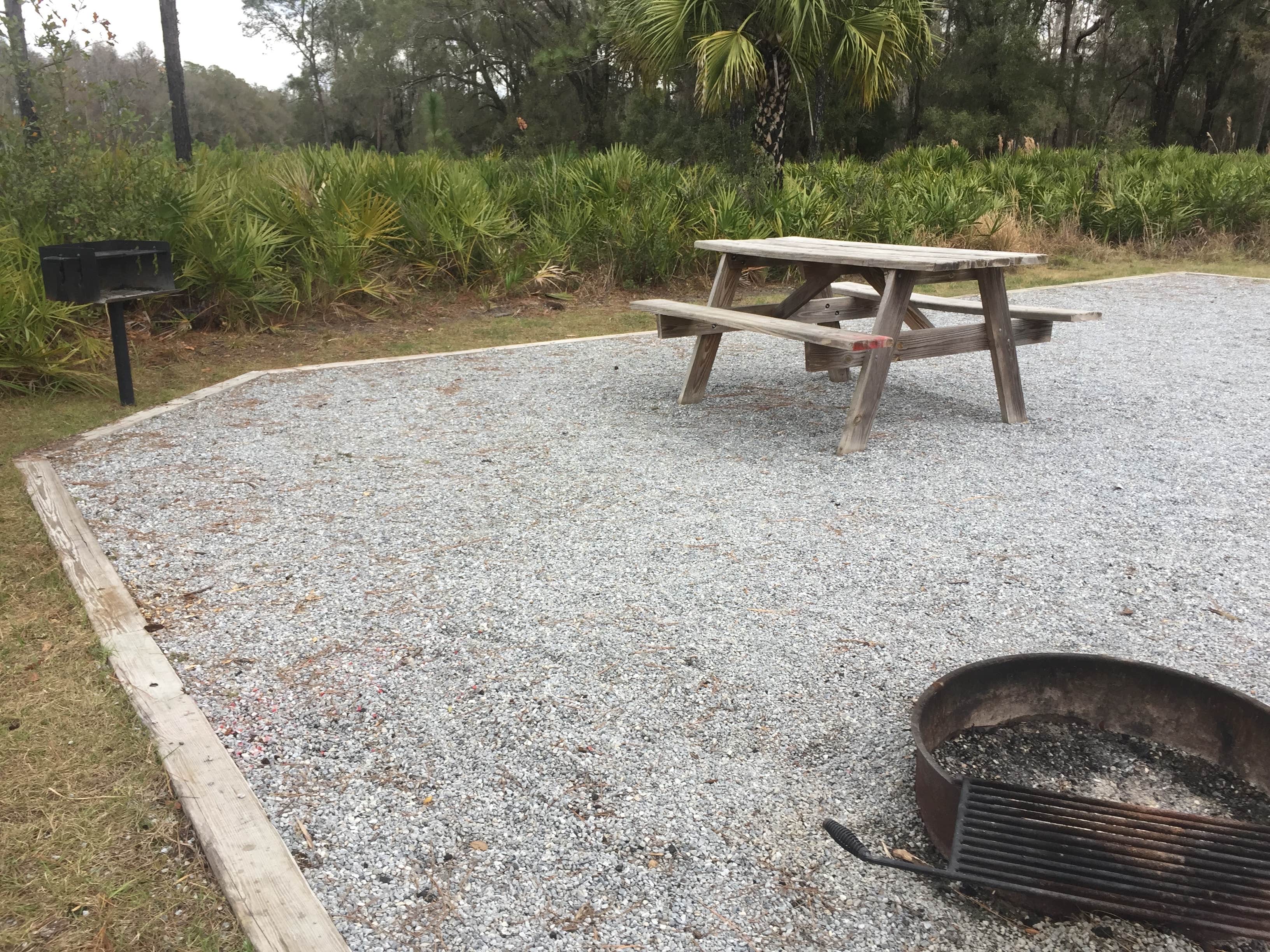 Camper-submitted photo at Colt Creek State Park Campground near Lutz, FL