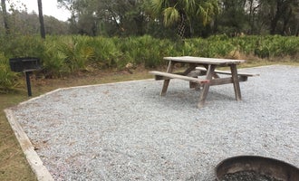 Camping near Green Swamp — East Tract: Colt Creek State Park Campground, Zephyrhills, Florida
