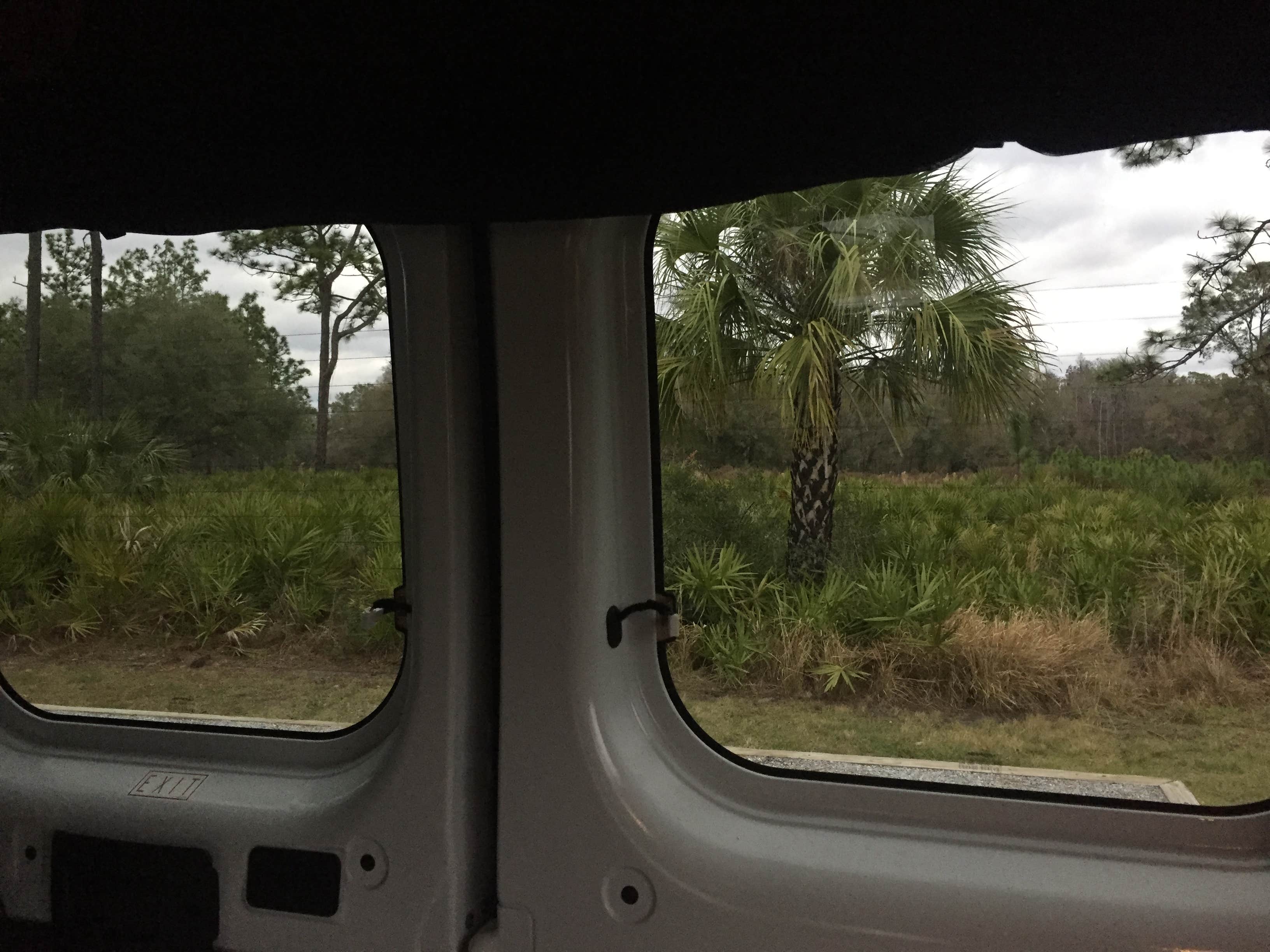 View All