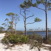 Review photo of Big Lagoon State Park Campground by Denise , March 2, 2021