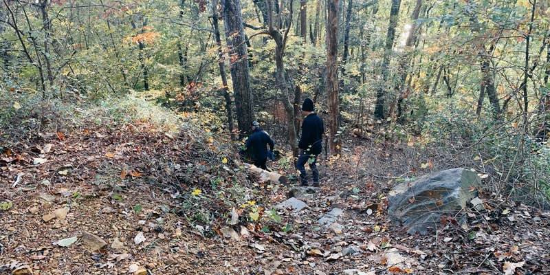 Camper submitted image from Deep Water Trail Camp