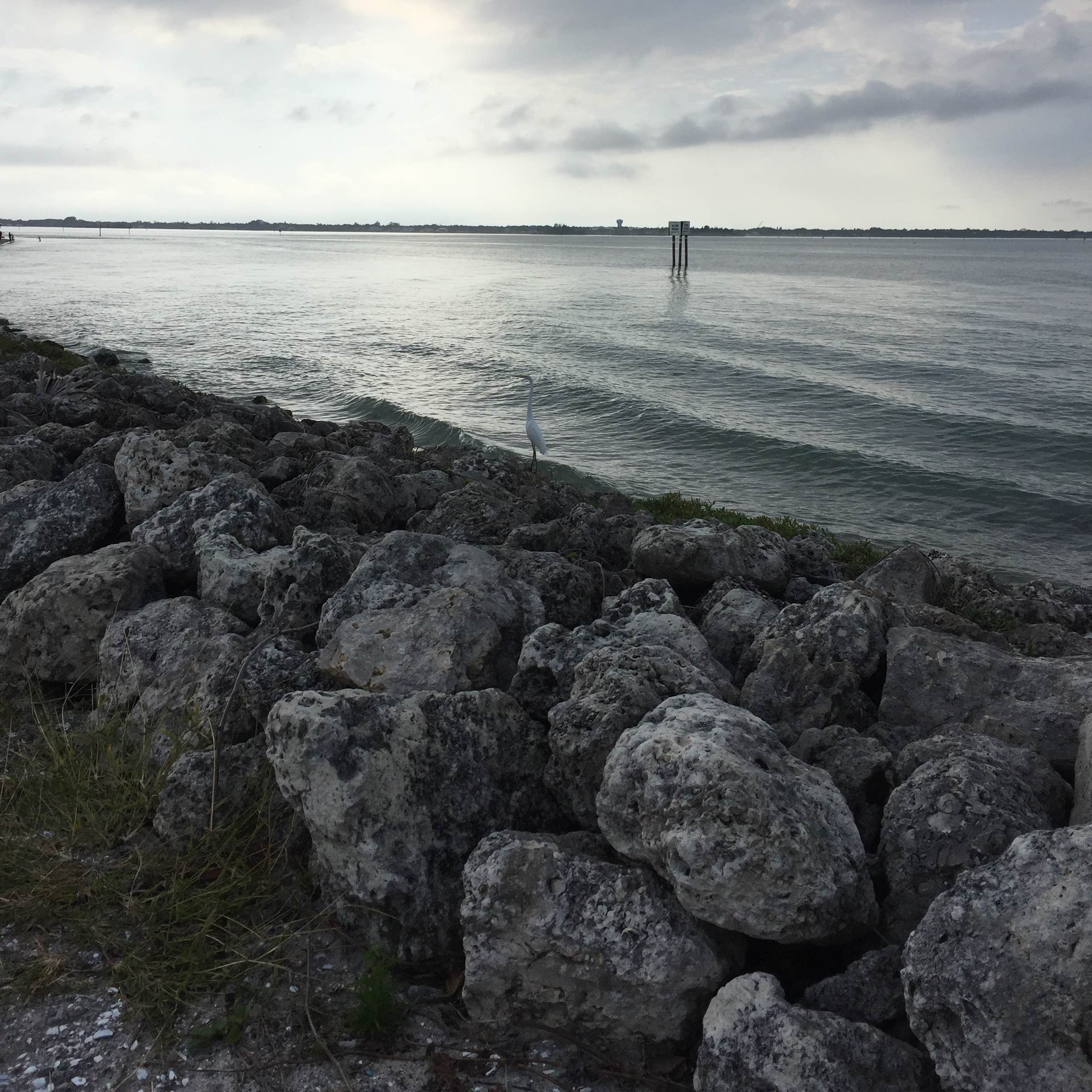 Sebastian Inlet | The Dyrt