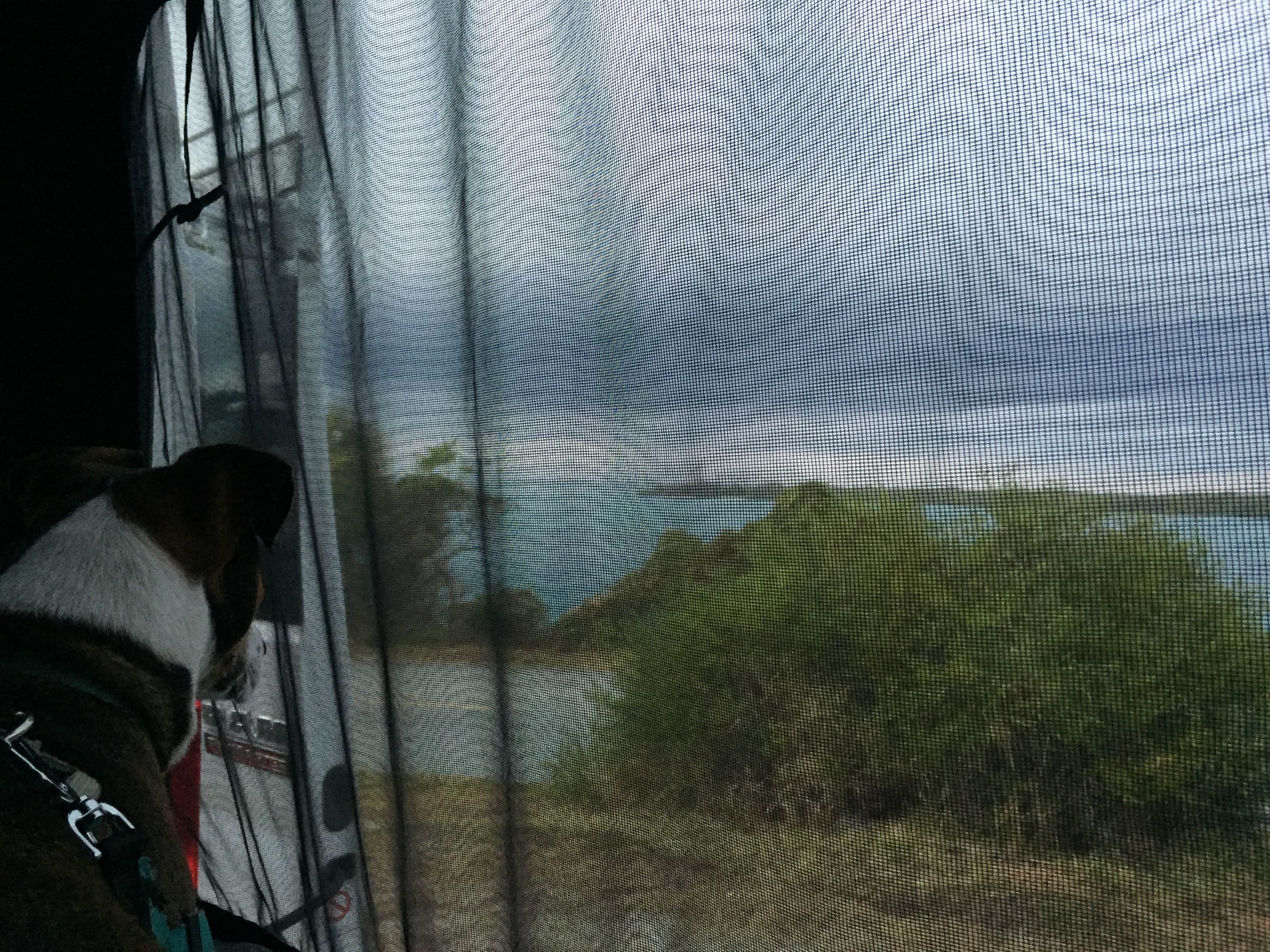 Denise's photo of camping with pets at Sebastian Inlet State Park Campground near Cape Canaveral, FL