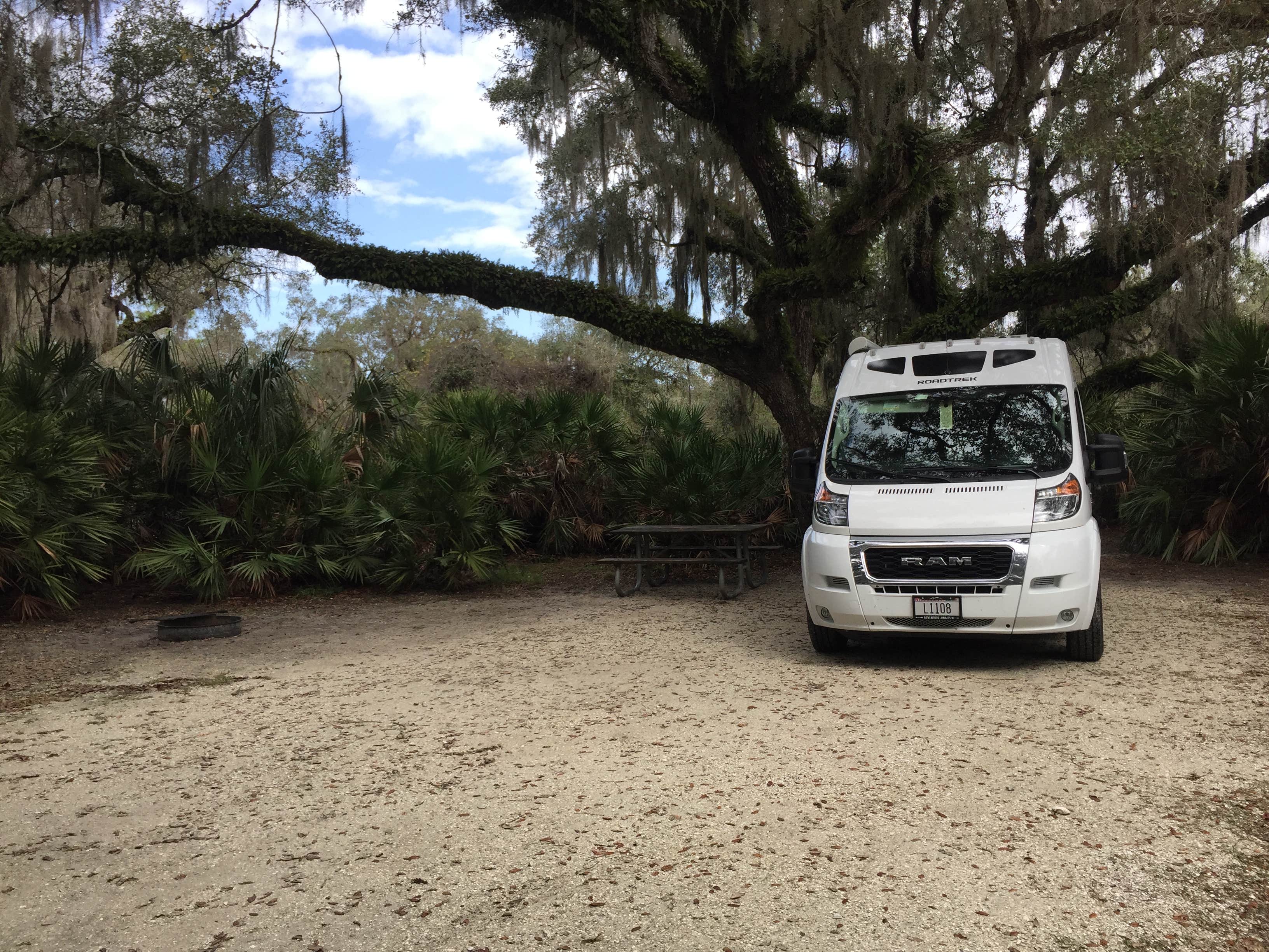 Camper submitted image from Lake Kissimmee State Park Campground - 1