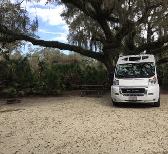 Camper-submitted photo from Lake Kissimmee State Park