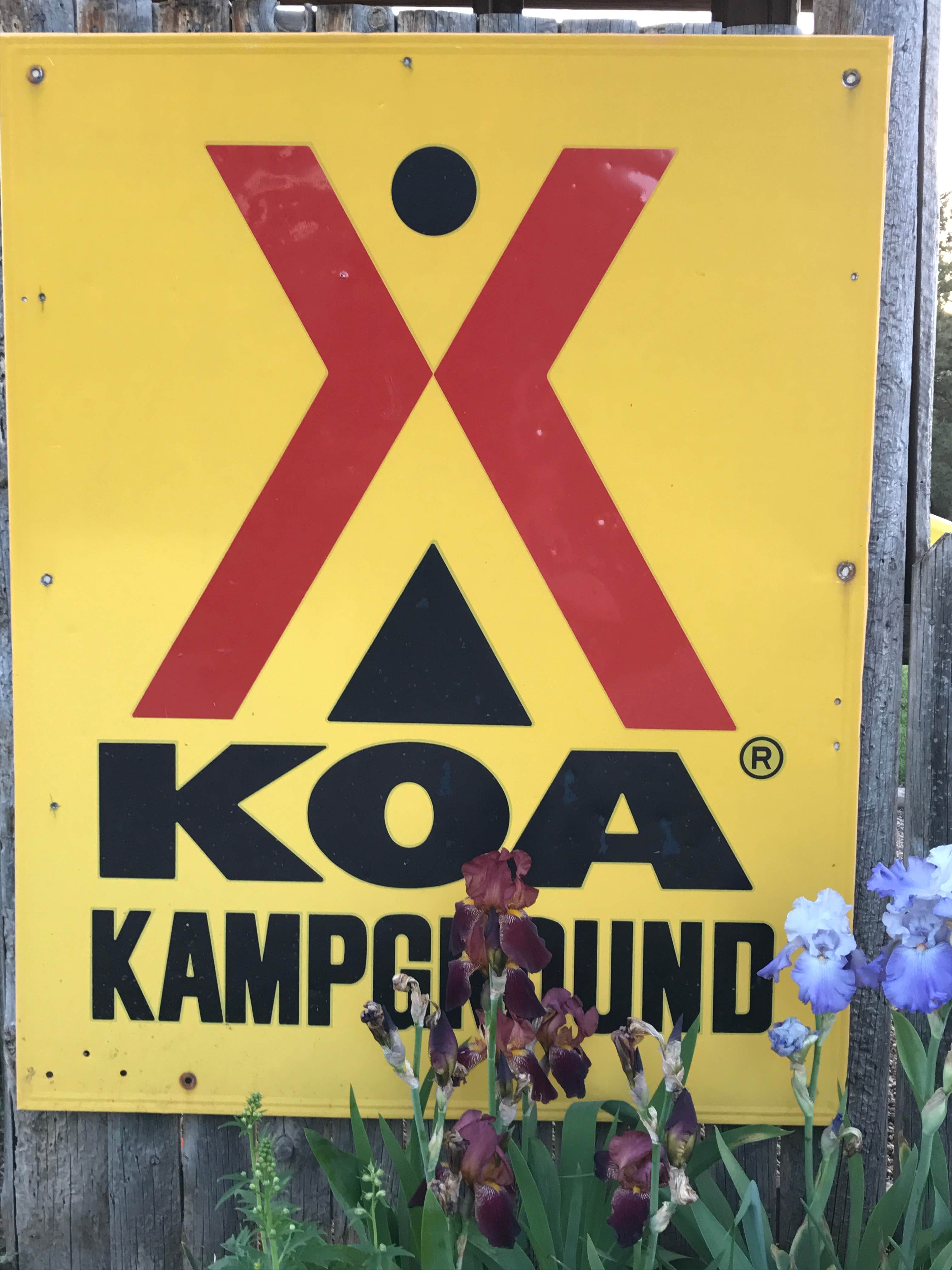 Camper submitted image from Hot Springs / Black Hills KOA - 4