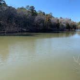 Review photo of Robbers Cave State Park — Robbers Cave State Resort Park by Neil T., March 2, 2021