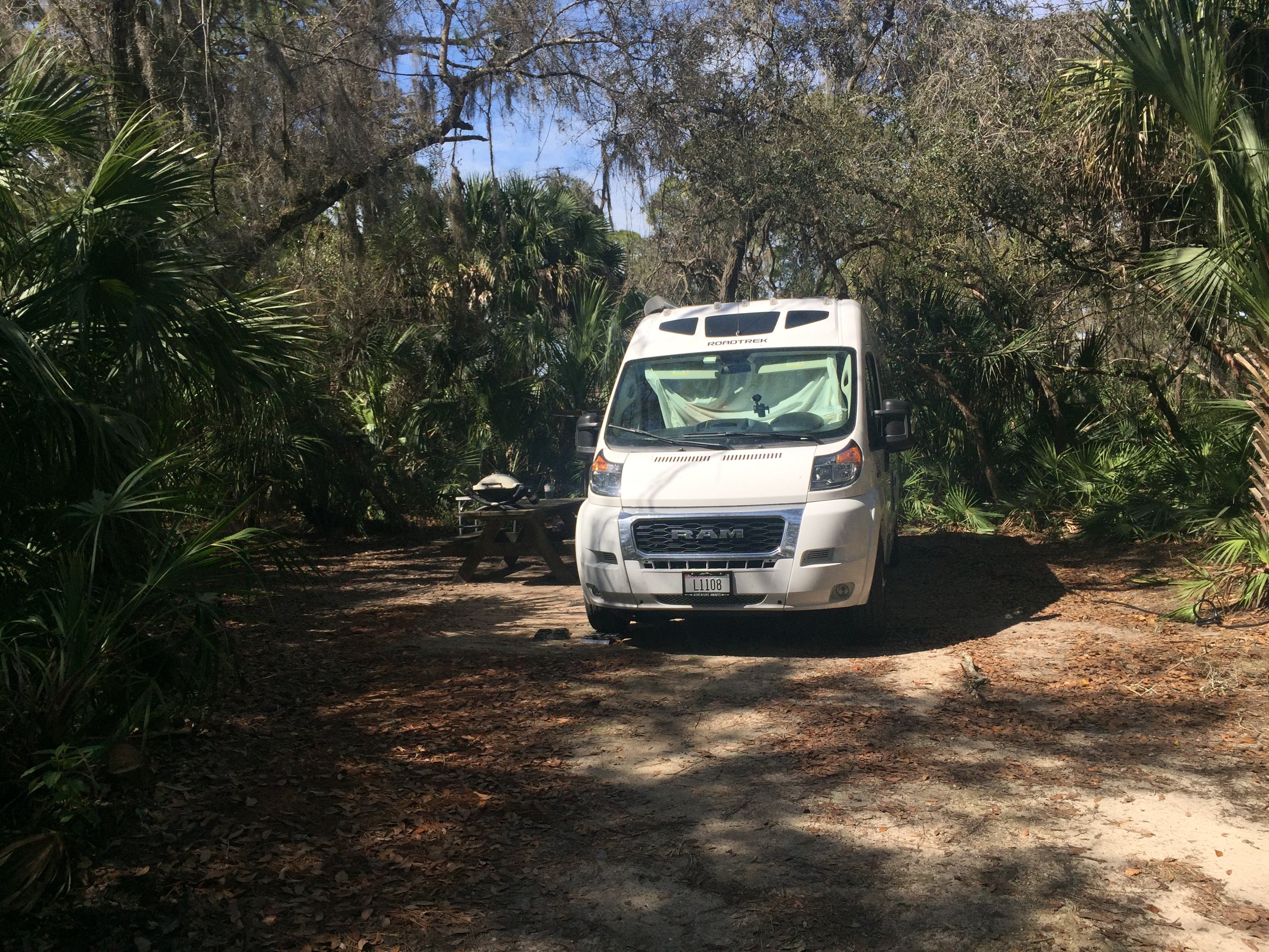 Camper submitted image from Oscar Scherer State Park Campground - 1