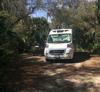 Camper-submitted photo from Oscar Scherer State Park