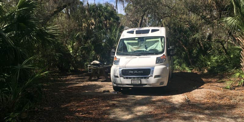 Camper submitted image from Oscar Scherer State Park Campground