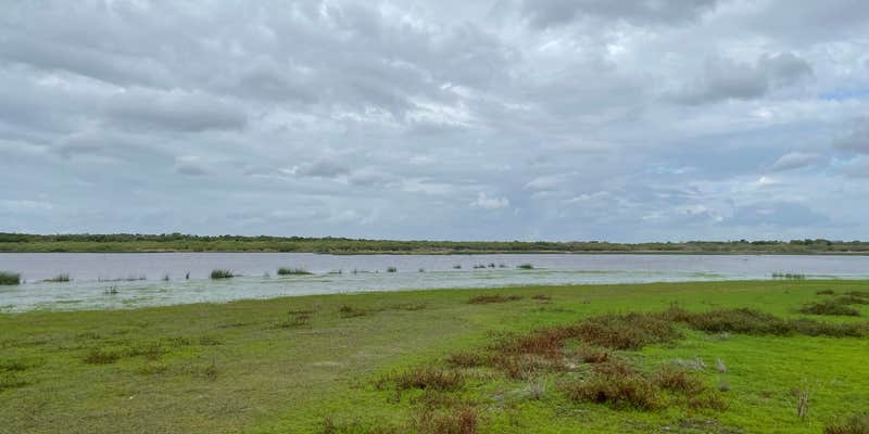 Camper submitted image from Palmetto Ridge Campground — Myakka River State Park