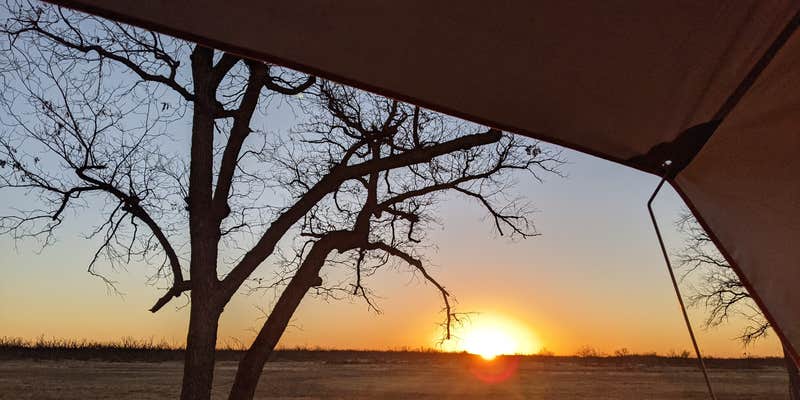 Camper submitted image from Bald Eagle Creek