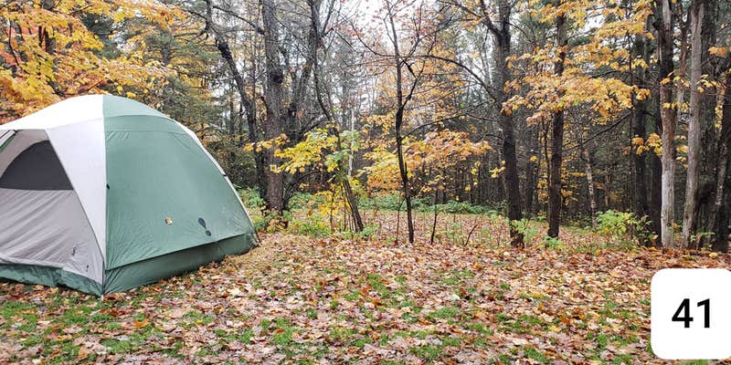 Camper submitted image from Mountain View Cabins & Cmpgrnd