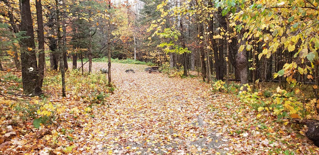 Camper-submitted photo at Mountain View Cabins & Cmpgrnd near Clarksville, NH