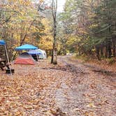 Review photo of Mountain View Cabins & Cmpgrnd by Jean C., March 3, 2021