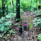 Review photo of Sugar Bay Campground by Shelly S., May 30, 2018