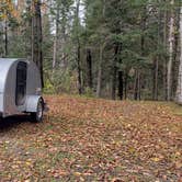 Review photo of Buck Rub's Hidden Acres Campground by Jean C., March 3, 2021